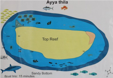 Ayya Thila